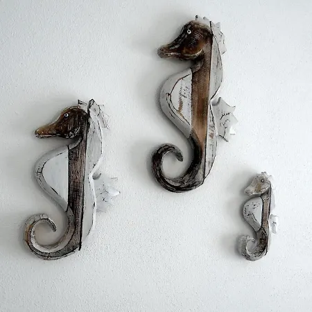 Mary G * La Maddalena (Sassari)